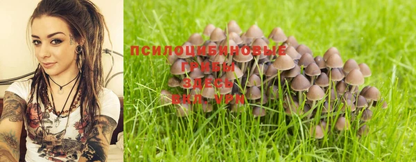 СК Абинск