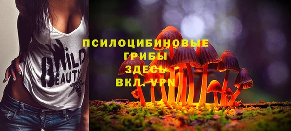СК Абинск